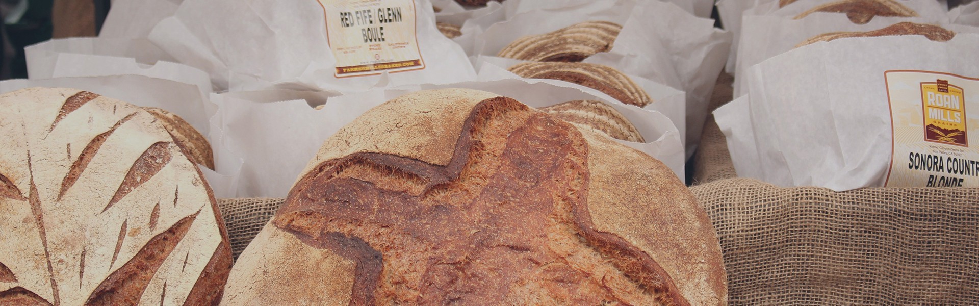 selection of artisan breads